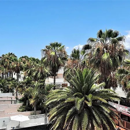 Ziocarlo/las Americas Aparthotel